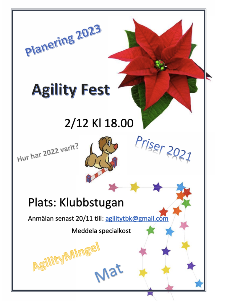 Agility fest 2022